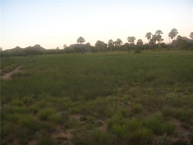 Fazenda Sul do Piau para Compensao de Reserva Legal #1