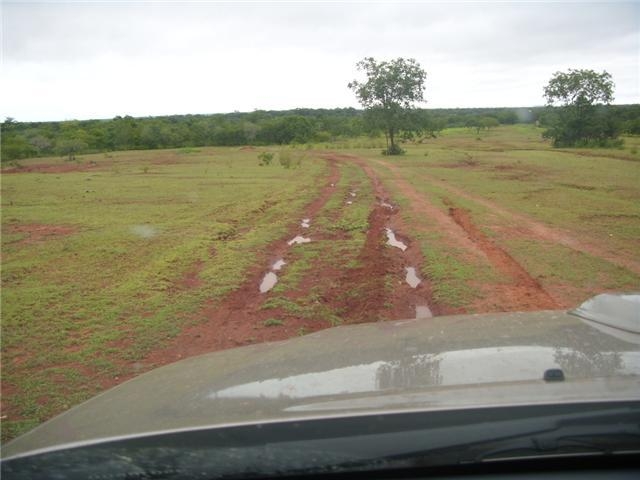 Fazenda Sul do Piau para Compensao de Reserva Legal #5