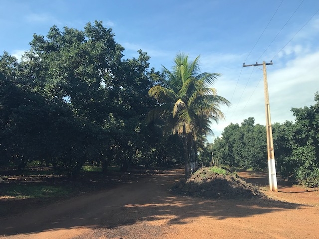 Terreno à venda, 250000m² - Foto 1