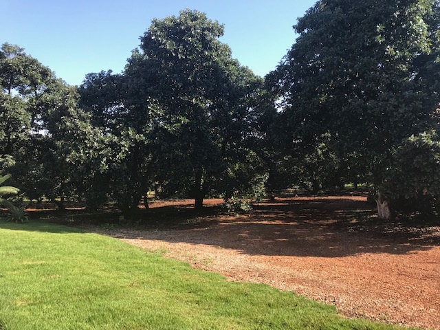 Terreno à venda, 250000m² - Foto 3