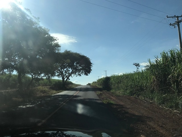 Terreno à venda, 250000m² - Foto 7