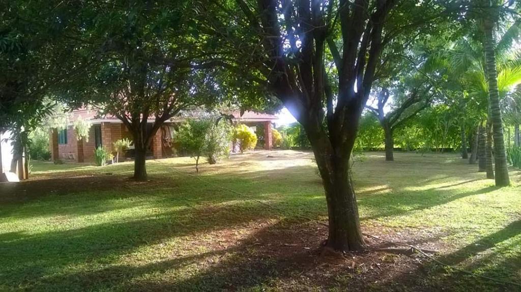 Sítio, 5 quartos, 2 hectares - Foto 7