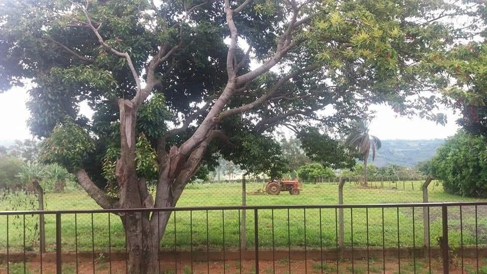 Sítio, 5 quartos, 2 hectares - Foto 19