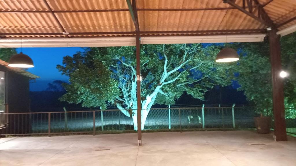 Sítio, 5 quartos, 2 hectares - Foto 21