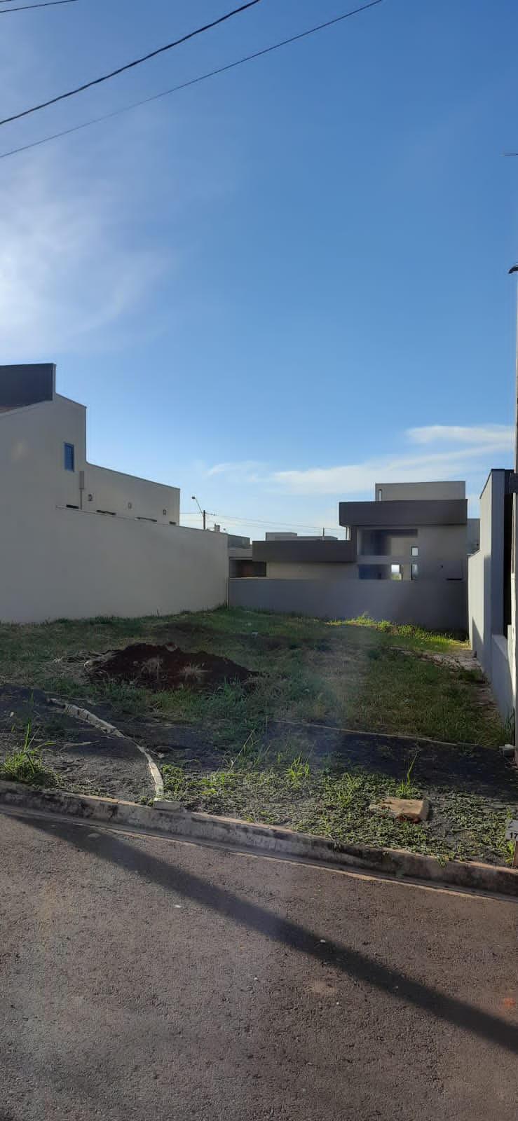 Terreno à venda, 250m² - Foto 3