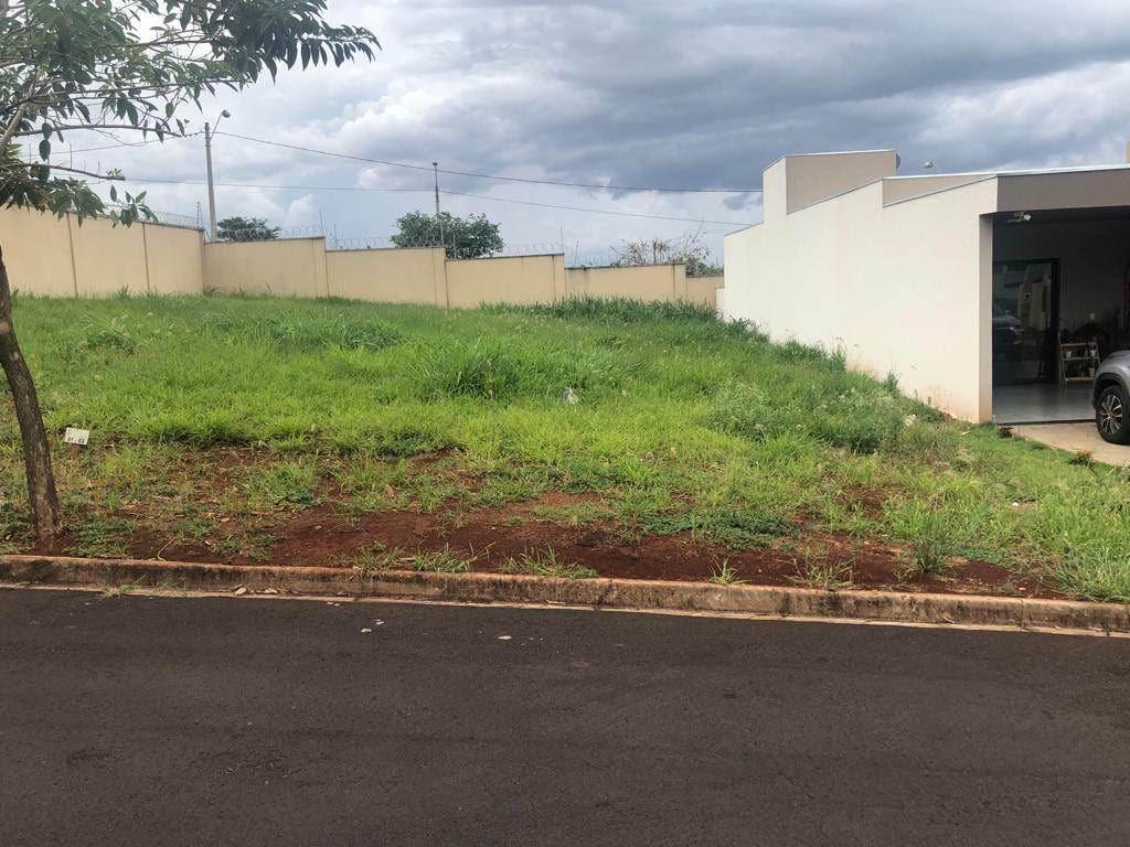 Terreno à venda, 300m² - Foto 3