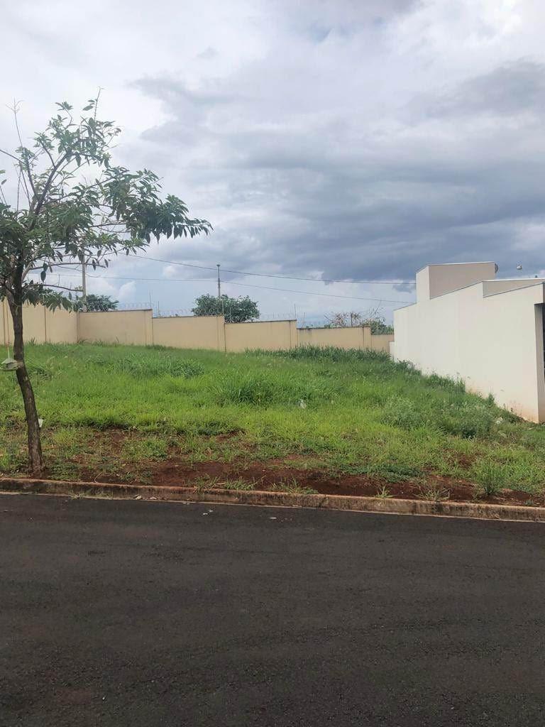 Terreno à venda, 300m² - Foto 11