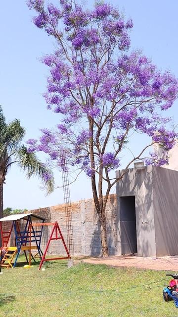 Fazenda à venda com 3 quartos, 96m² - Foto 8