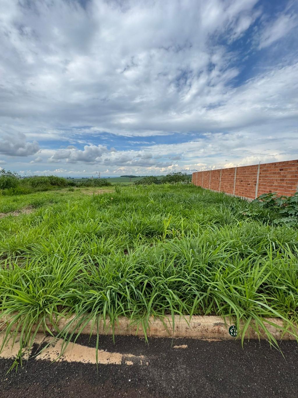 Terreno à venda, 250m² - Foto 1