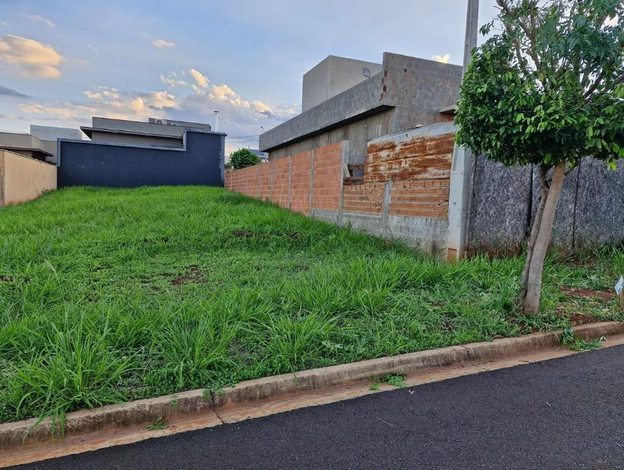 Terreno à venda, 250m² - Foto 4