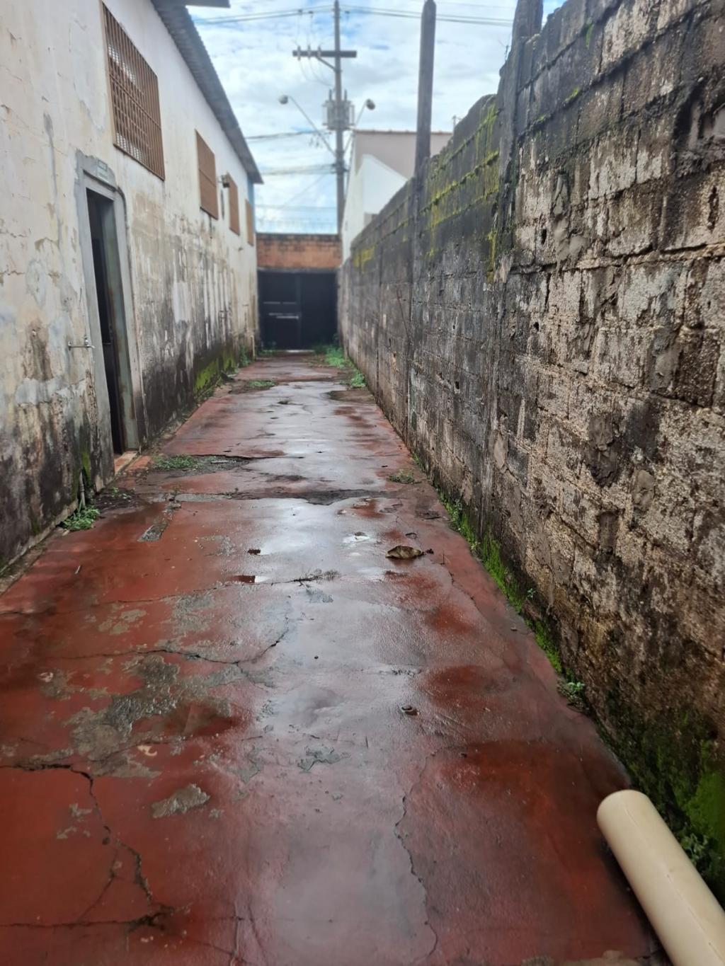 Depósito-Galpão, 232 m² - Foto 3