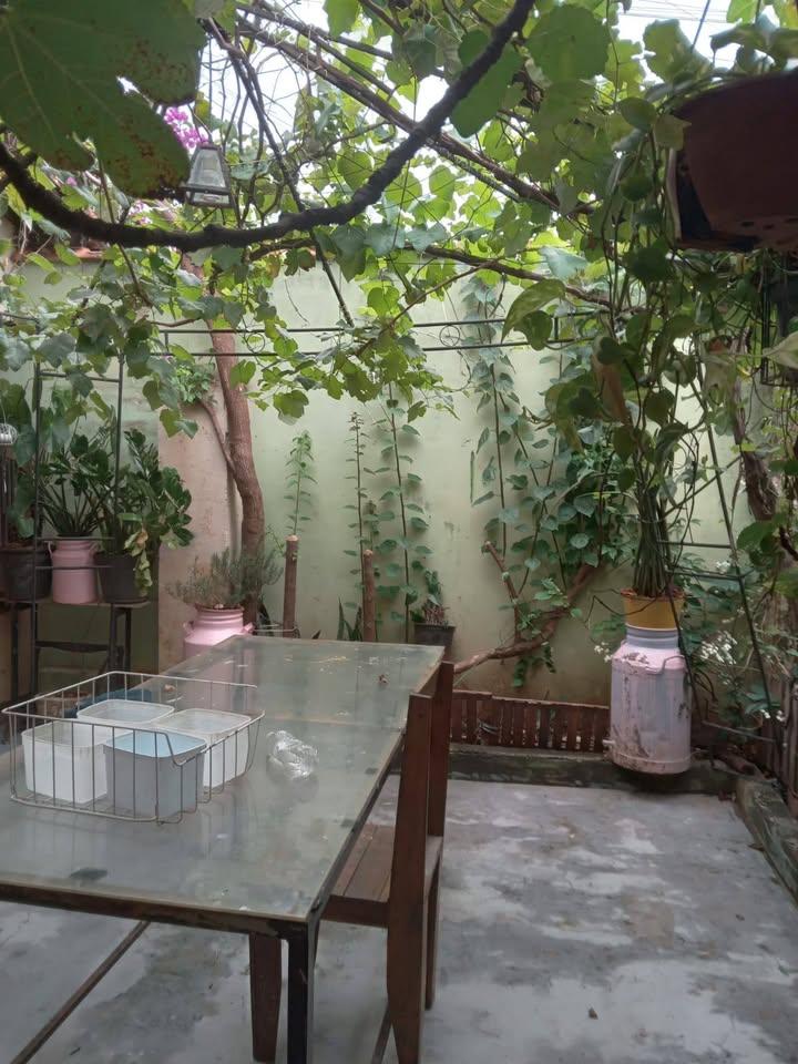 Casa, 3 quartos, 200 m² - Foto 16