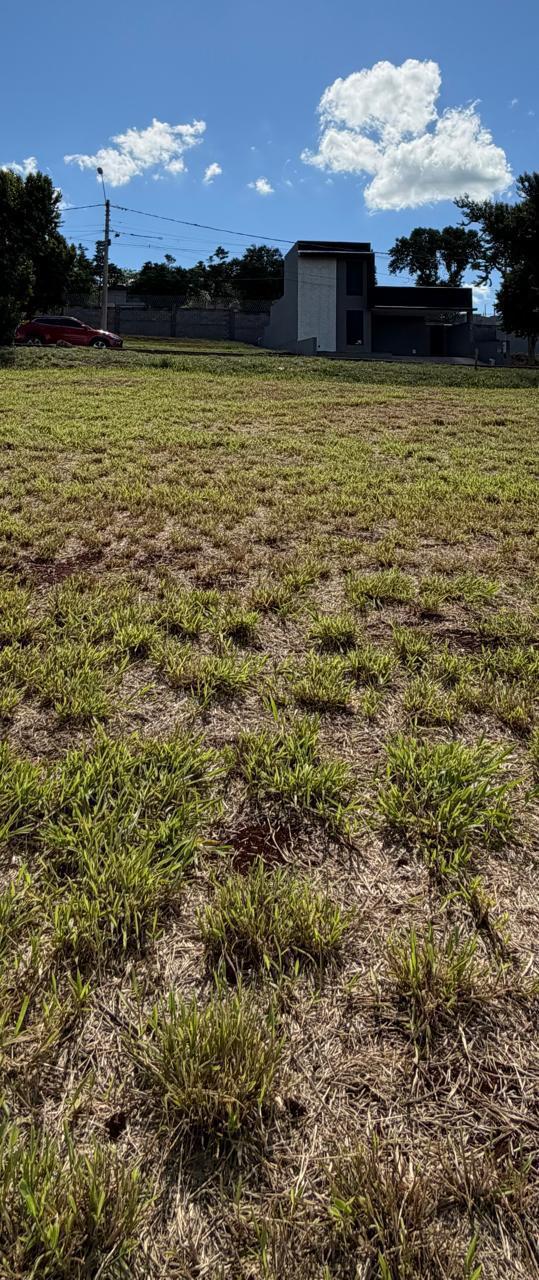 Terreno, 250 m² - Foto 10