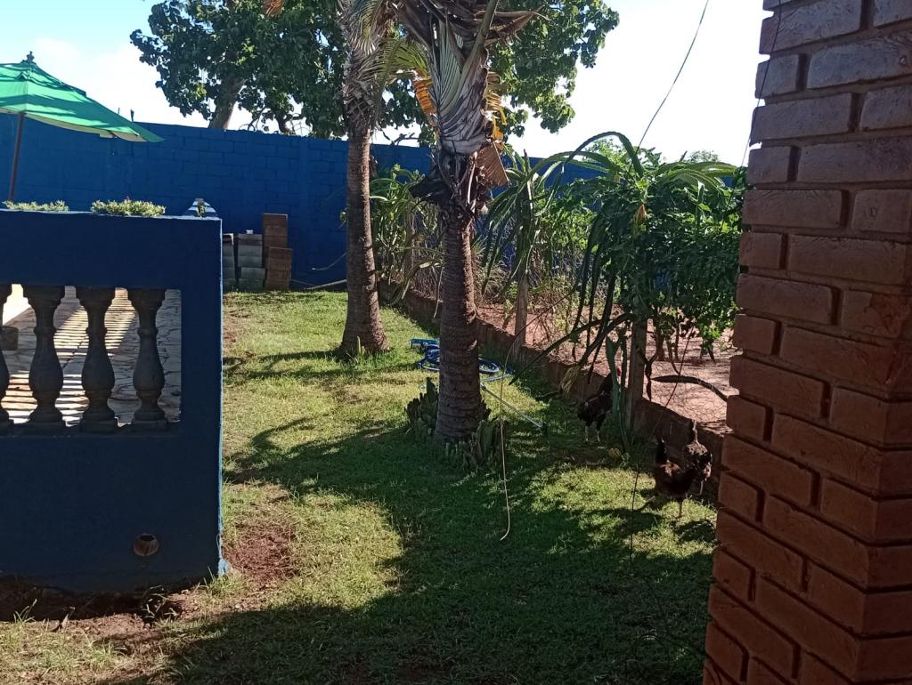 Sítio, 3 quartos, 1200 m² - Foto 3
